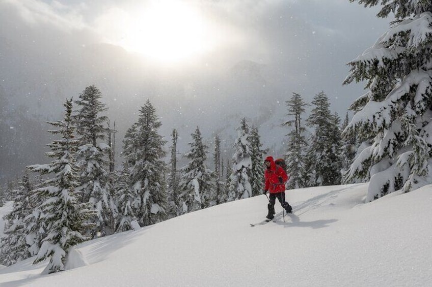 Whistler Backcountry Skiing and Splitboarding