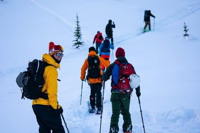 Whistler Backcountry Skiing and Splitboarding