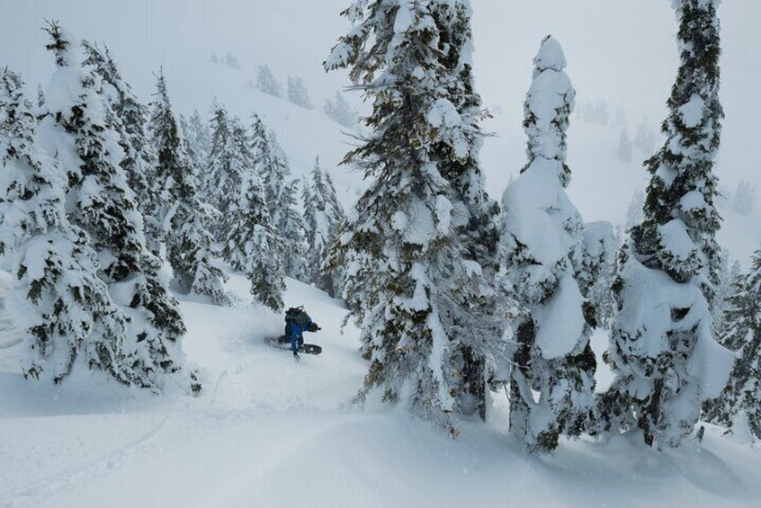 Whistler Backcountry Skiing and Splitboarding