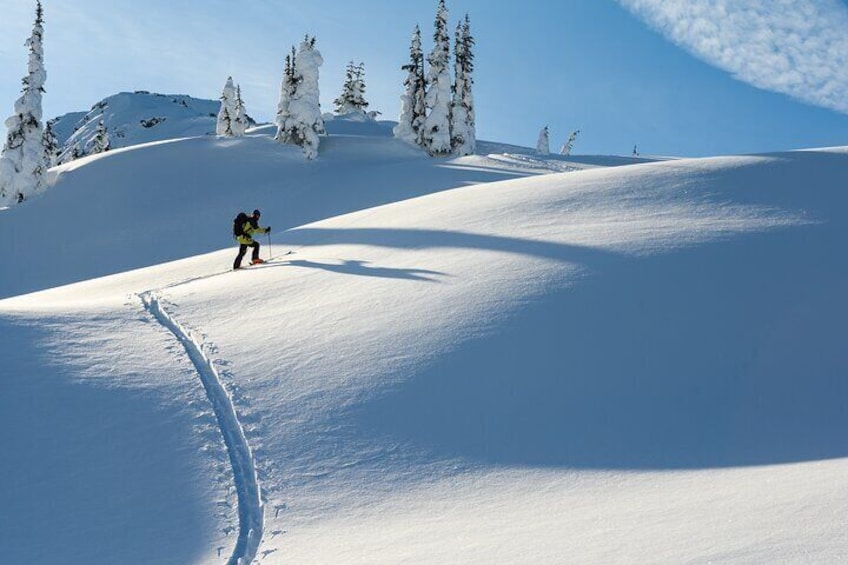 Whistler Backcountry Skiing and Splitboarding