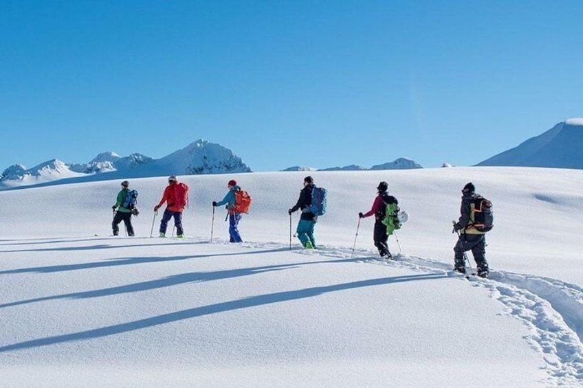 Whistler Backcountry Skiing and Splitboarding