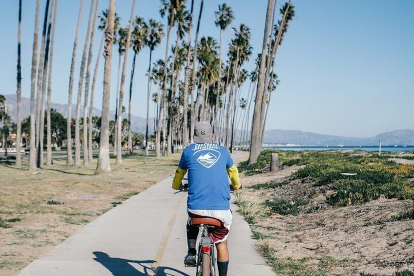 palm trees, blue skies, beachside, ebike, perfect day.