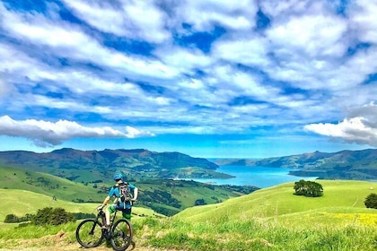 Lava Loop- Guided electric mountain bike tour in Akaroa