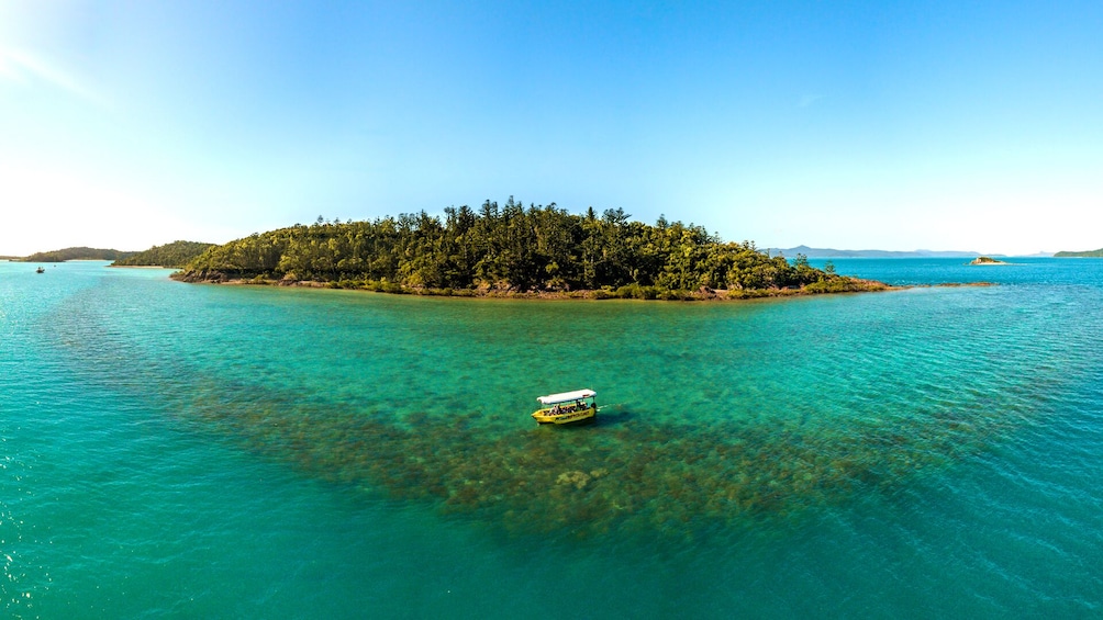 Airlie Beach Glass Bottom Boat Tour