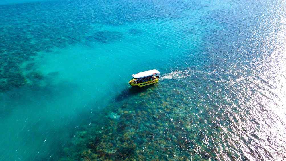 Airlie Beach Glass Bottom Boat Tour