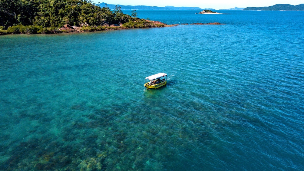 Airlie Beach Glass Bottom Boat Tour