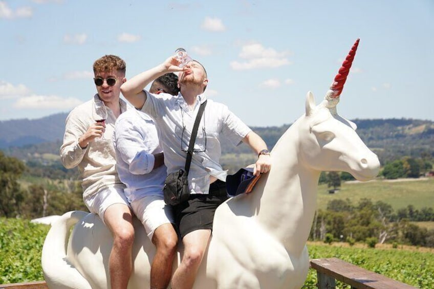 Laid back Small-Group Yarra Valley Winery Tour with Wine,Gin,Cider,Cheese + more