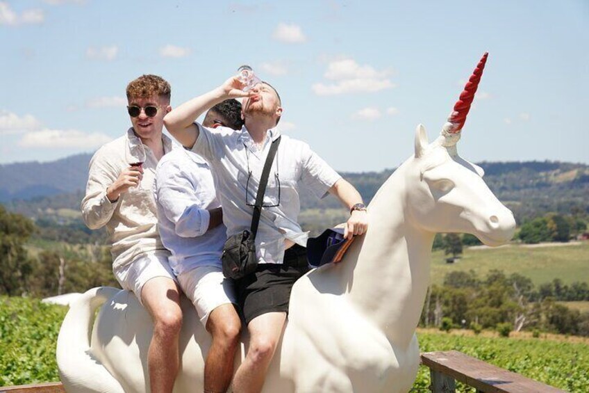 Laid back Small-Group Yarra Valley Winery Tour with Wine,Gin,Cider,Cheese + more