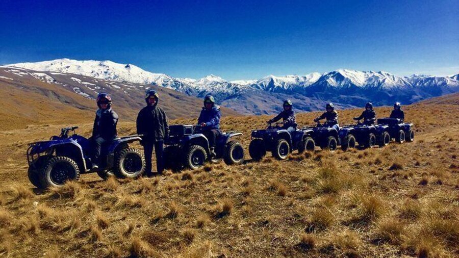 Up in the tussock!