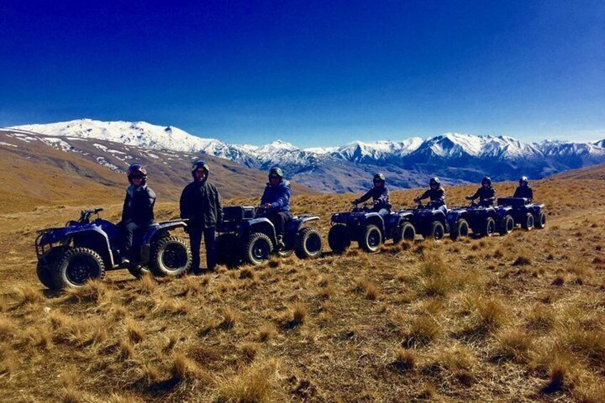 Up in the tussock!