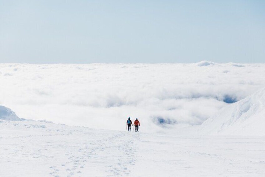 Private Mt Ruapehu Summit Plateau Guided HIke