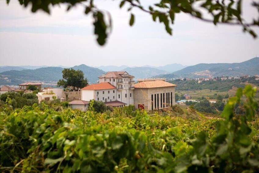 Tirana: Wine tasting & vineyards escape 