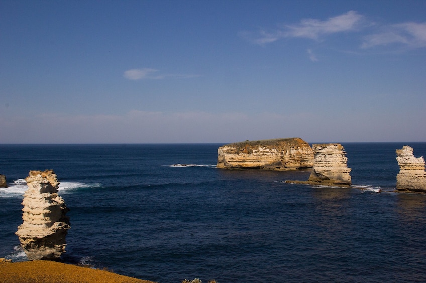 Private - Great Ocean Road Tour with Wildlife & Lunch