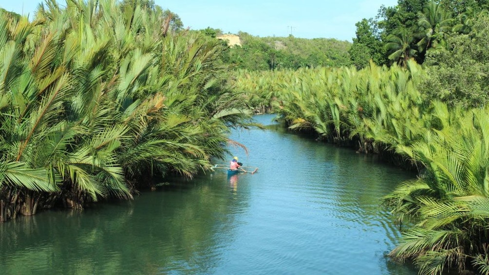 Navigating through the waterways in Bohol