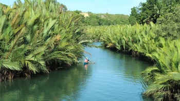 Private Bohol Island Tour with River Cruise & Lunch