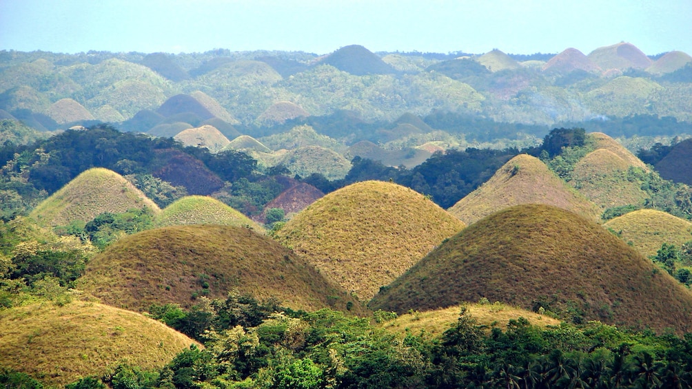 The hilly landscape of the countryside of Bohol