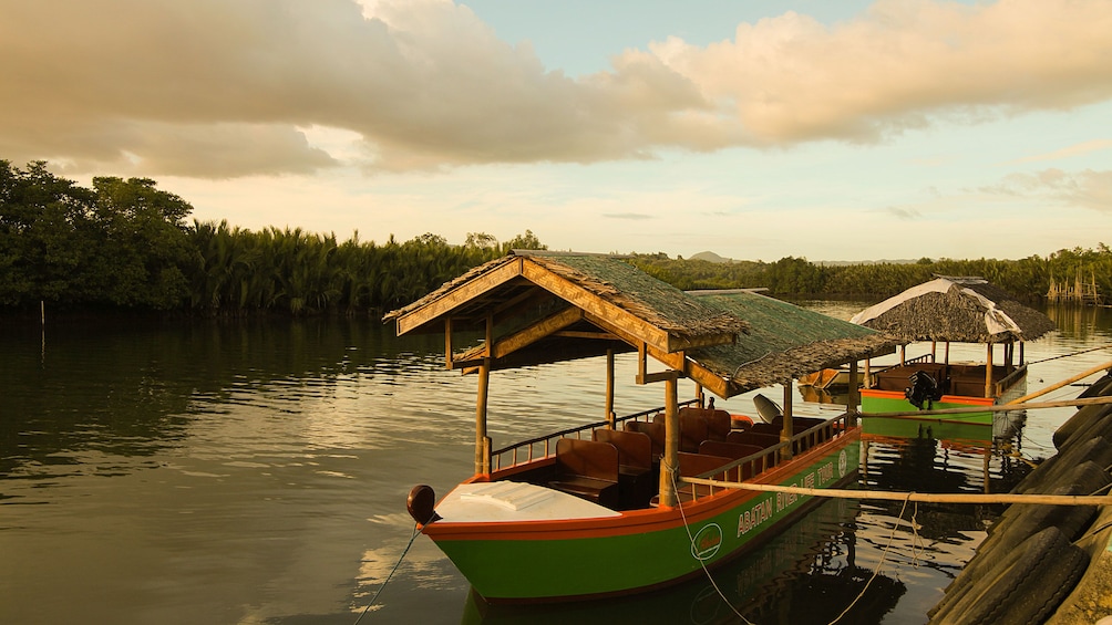 Docked boats in Bohol