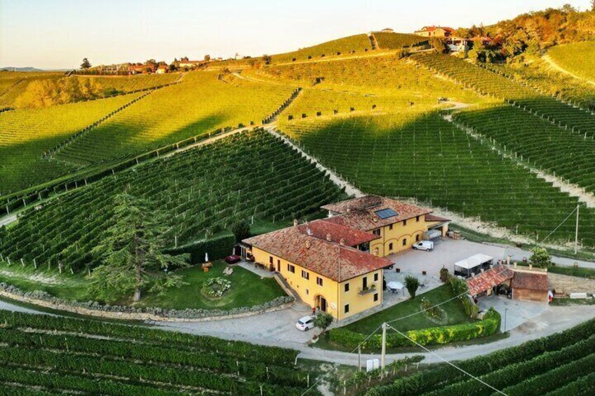 Wine & Chocolate Experience in Monforte d'Alba