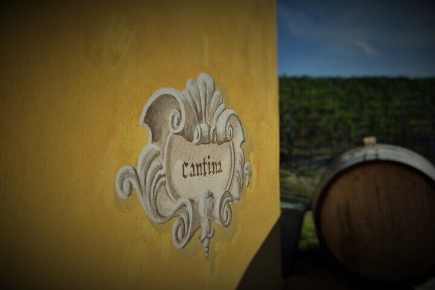 Wine & Chocolate Experience in Monforte d'Alba