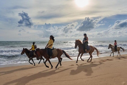 Club de equitación de Phuket