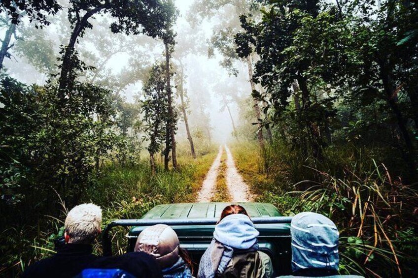 Show item 1 of 6. Chitwan Jungle safari Guided Private Day Tour