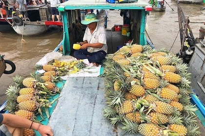 Cai Rang Floating Market Private Day Tour from Ho Chi Minh city