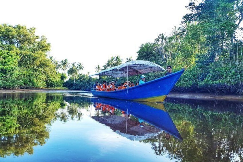  Sky-Mirror Photographing and Proboscis Monkey & Fireflies Watching River-Cruise