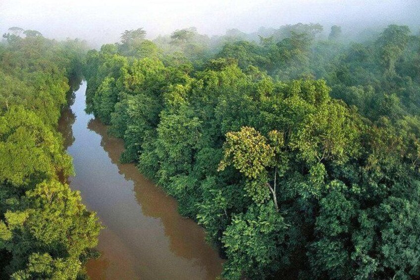  Sky-Mirror Photographing and Proboscis Monkey & Fireflies Watching River-Cruise