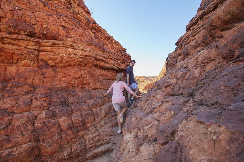 Kings Canyon & Outback Panoramas Tour