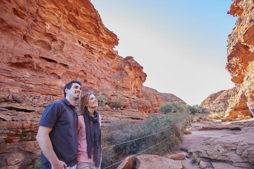 Kings Canyon & Outback Panoramas Tour