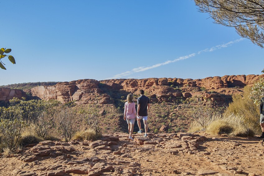 Kings Canyon & Outback Panoramas Tour