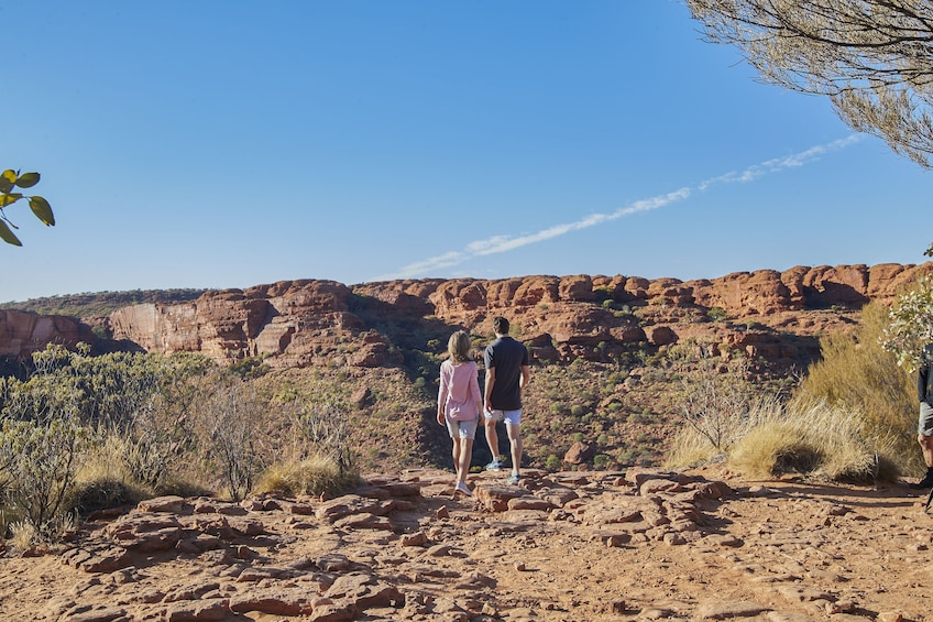 Kings Canyon & Outback Panoramas Tour