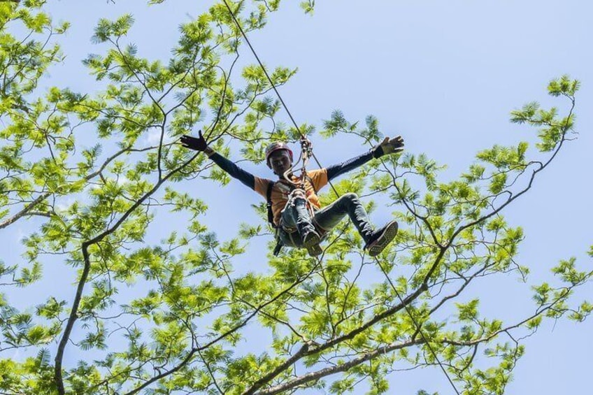 Krabi 2-Hour Zipline Adventure