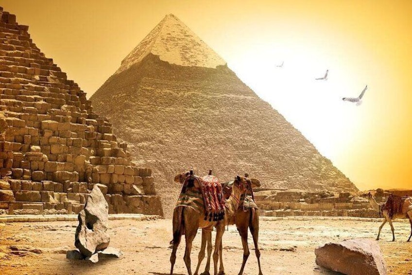 8-Day Private Tour Cairo, Aswan, Luxor and Nile Cruise Including Air Fare