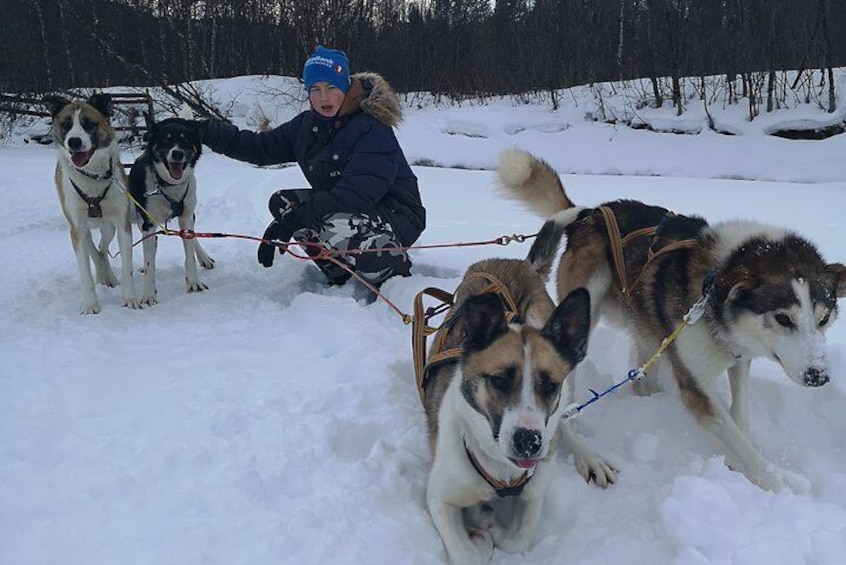 Sled trip with husky in the alta valley