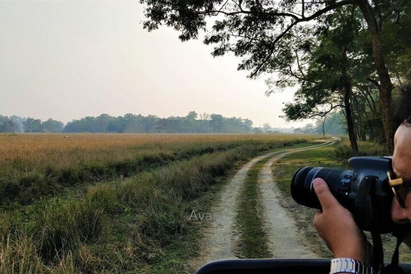 Tour of Pobitora Wildlife Sanctuary from Guwahati with Safari, Lunch and Guide