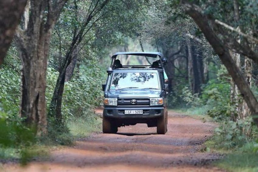 Wilpattu National Park Safari Day Tour