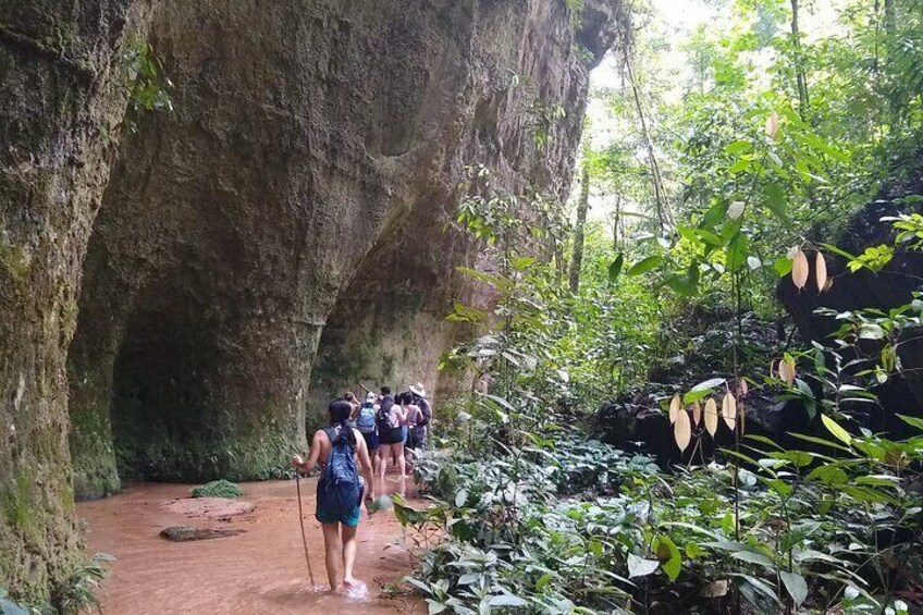 The walking through the jungle