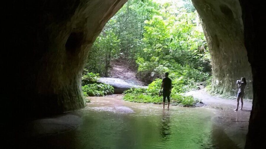 Jungle Walking with Caves and Waterfalls in Amazon Full Day Tour