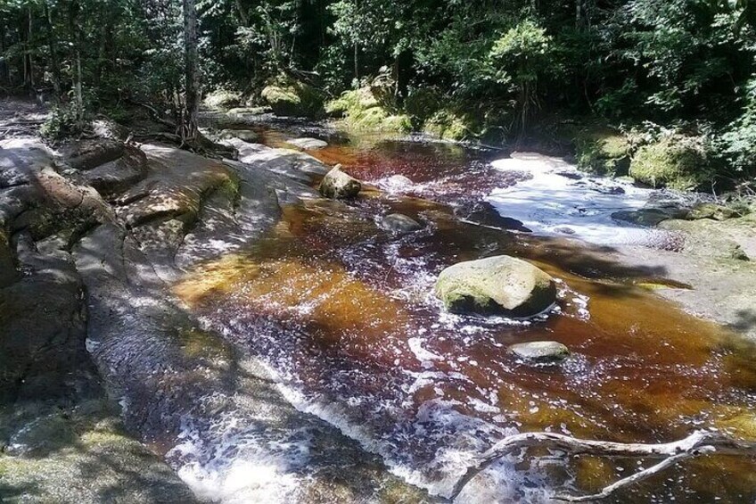 The rapids of Sanctuary falls