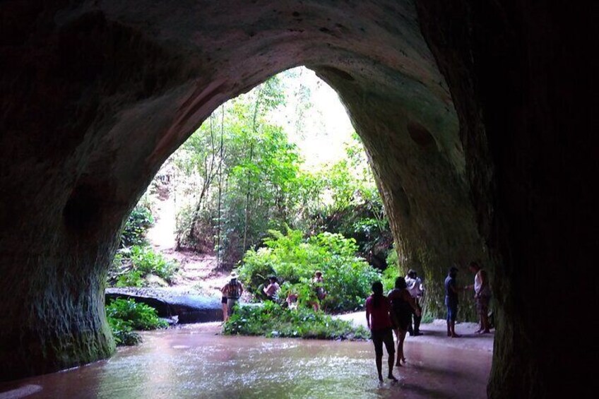 Full Day Tour Jungle Walking and Visit Maroaga, Judeia Caves and Sanctuary Falls