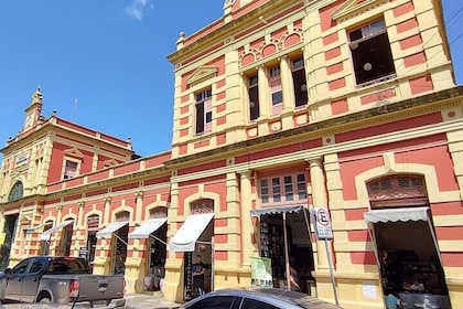 The Manaus City Tour and Meeting of the Waters