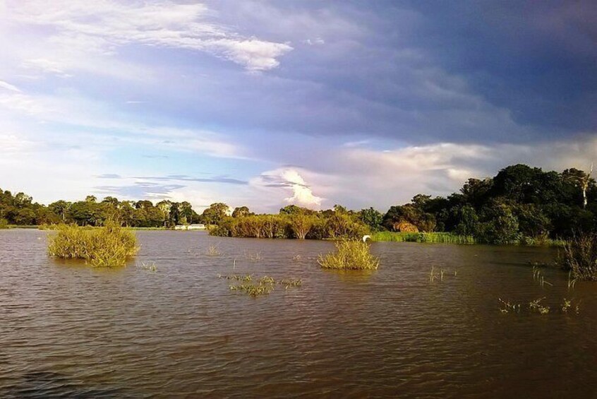 Janauary Lake