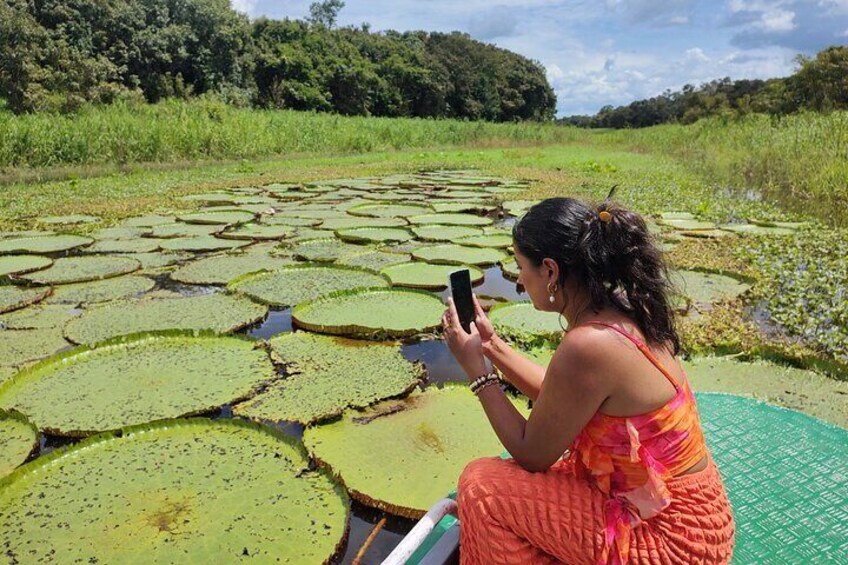 Amazon's Half-Day Jungle Immersion & Nocturnal Encounters