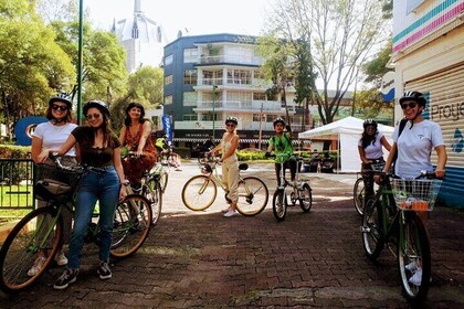 Mexico City Bike Tour: Coyoacan and Frida Kahlo Museum ENTRANCE INCLUDED