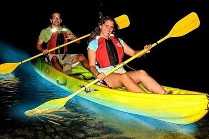 Illuminated Night Kayaking at the Elysian Resort