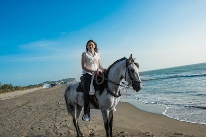 Horseback Riding Tour in Beach of Cartagena