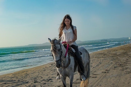Horseback Riding Tour in Beach of Cartagena