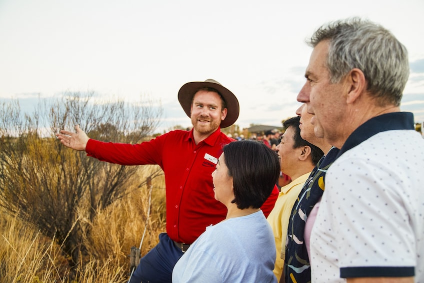 Uluru Sunset Tour