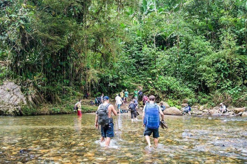 Ciudad Perdida: 4 or 5 Day Trek to the Lost City from Santa Marta